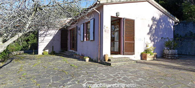 Casale immerso nel verde e nella quiete Casale immerso nel verde e nella quiete