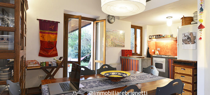 Stai cercando una casa che ti accolga? Stai cercando una casa che ti accolga?