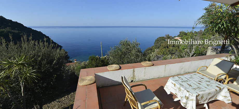 La casa al mare immersa nel verde e blu