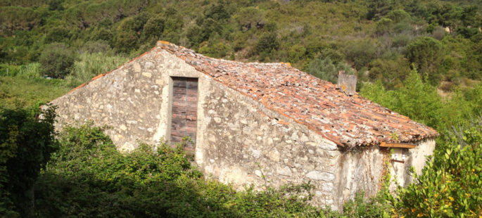 Casale da ristrutturare a Marciana Marina Casale da ristrutturare a Marciana Marina
